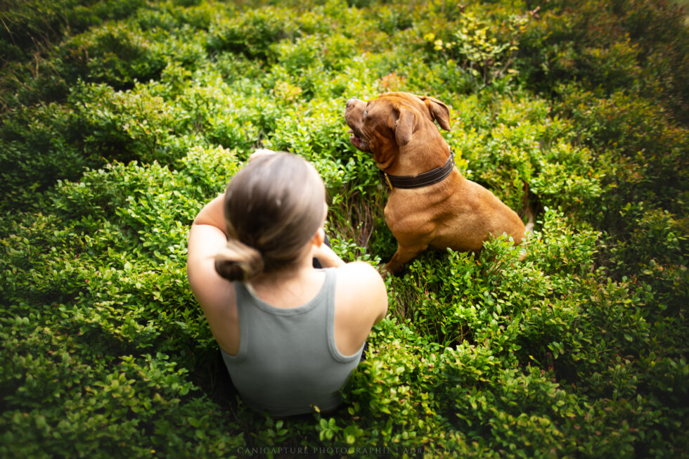 Un beau portrait d'un duo magnifique dans la nature