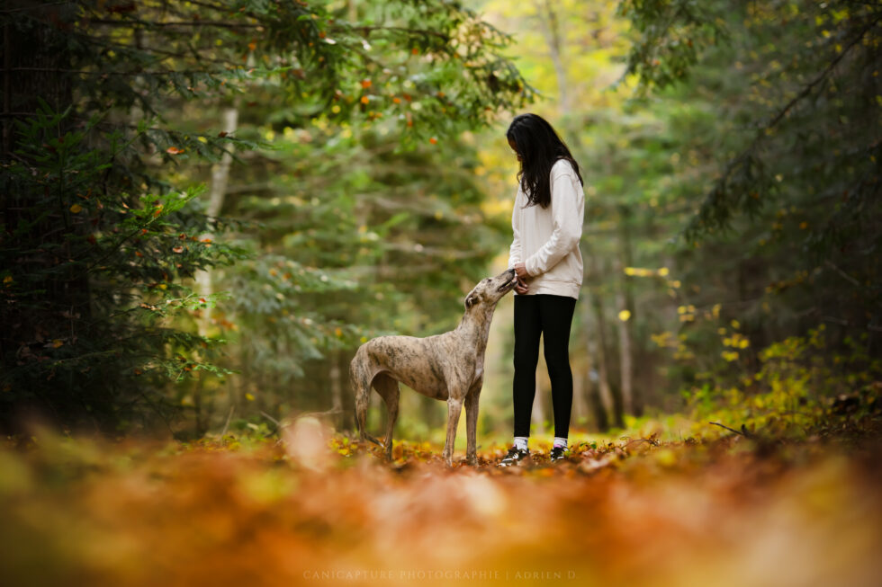 portrait d'une humaine et son fidèle compagnon
