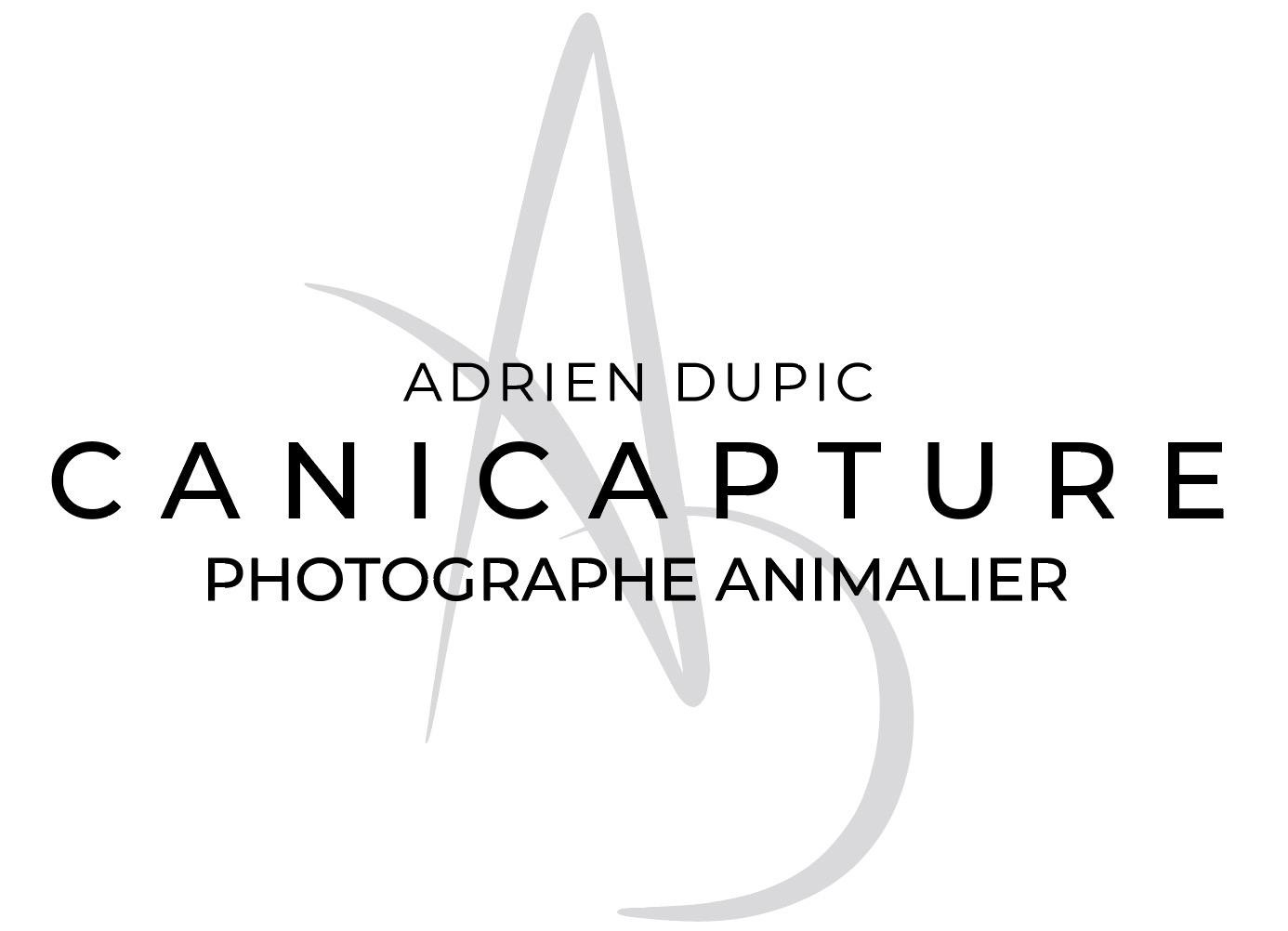 Canicapture