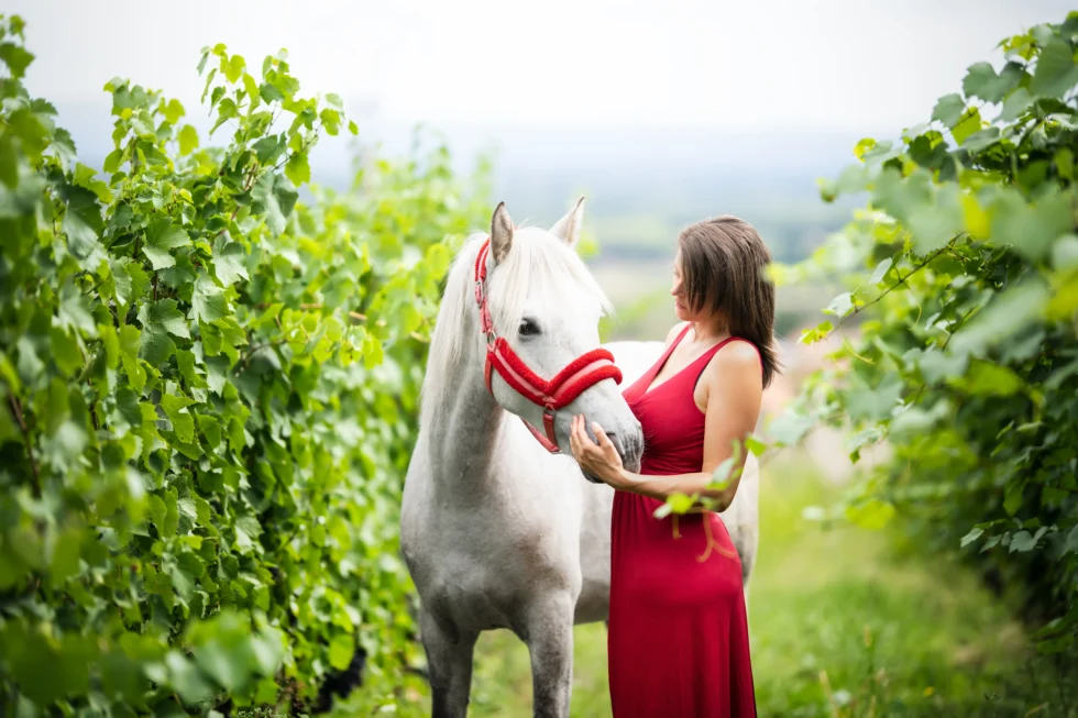 Photographie d'une femme en robe rouge avec son cheval blanc dans un vignoble, capturée par Adrien Dupic, photographe animalier