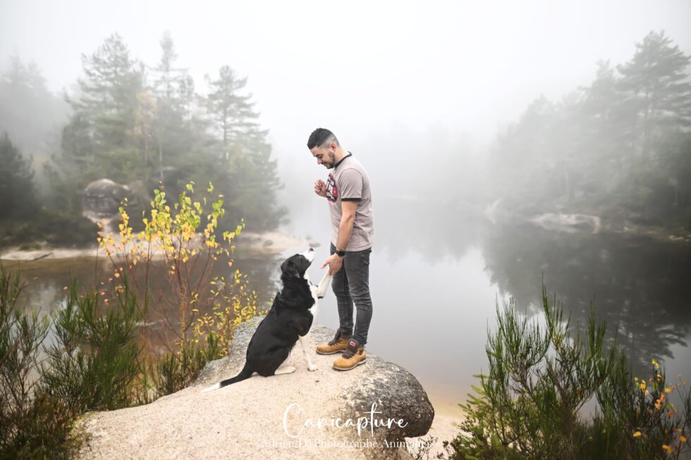 Photographe animalier à Vichy en Auvergne : séance photo d'un chien border collie avec son maître dans un décor naturel et brumeux près d'un lac