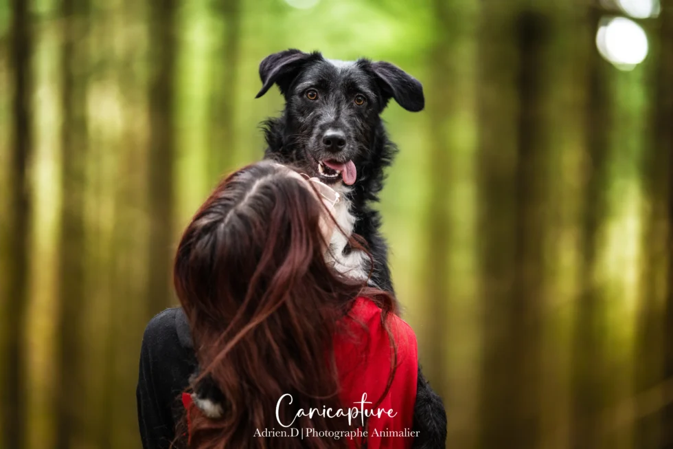 Un chien noir au regard expressif porté par sa propriétaire dans une forêt, capturé par Adrien Dupic, photographe animalier à Vichy