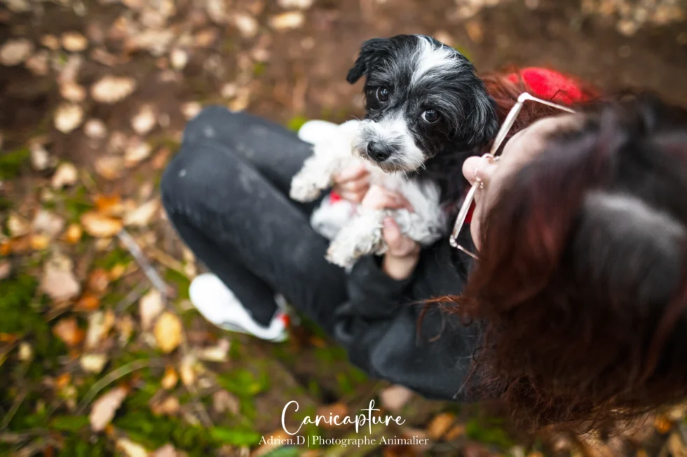 Chien noir et blanc avec son maître dans une forêt automnale, photo prise par Canicapture, photographe animalier à Vichy